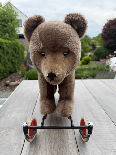 Steiff jungbär bär auf - jungbär,