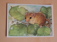1x  Postkarten Haselmaus