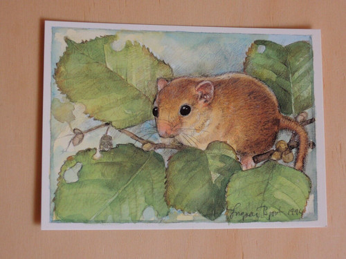 Postkarten haselmaus - 1x,