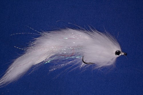 Fliegentom 1721 - ,