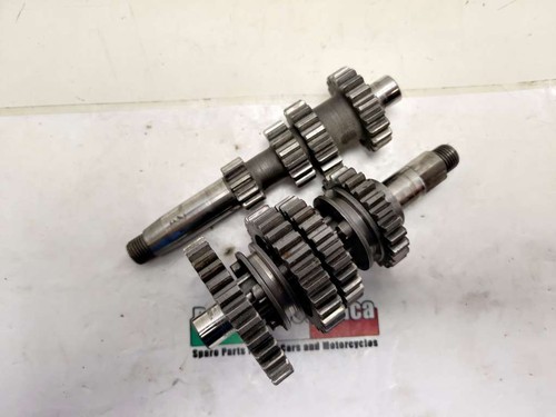 Austausch franco morini cc - austausch,