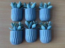 6er Set Habitat Magnetkakteen