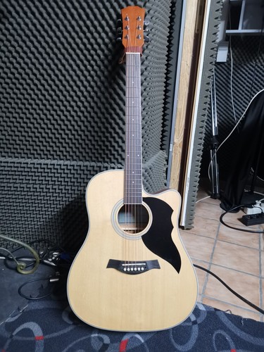 Akustik gitarre fishman - gitarre,