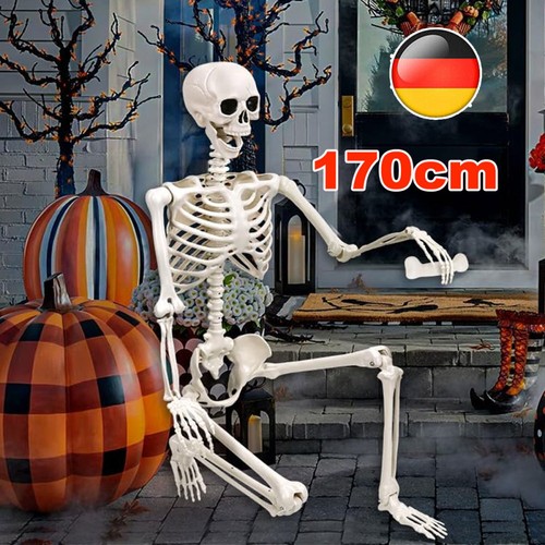 Skelett halloween lebensgroß - skelett,