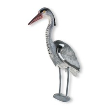 Reiherschreck Fischreiher