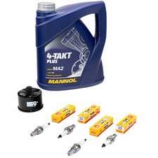 Öl Set Inspektion 4L für