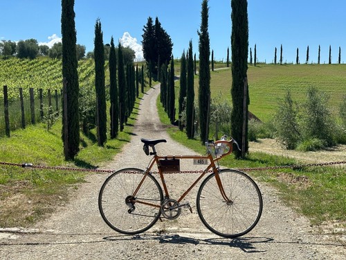 Bianchi sprint campagnolo - s,
