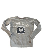 Pullover Jungen Gr. 158-164