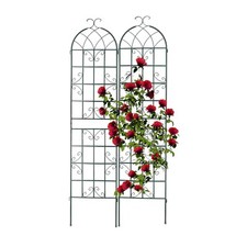 Rankgitter Rankhilfe