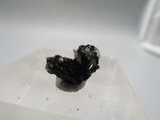 Nifontovit Charkas San Luis Potosi Mexiko