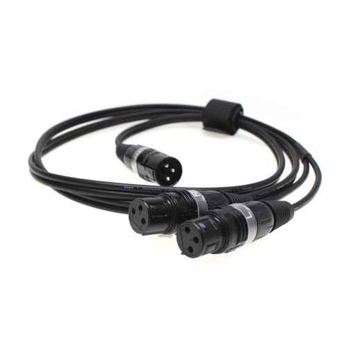Fischer amps xlr - amps,