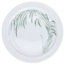 Kuchenteller Rosenthal Duo Indian Rice