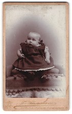 Fotografie Fr. Kloppmann