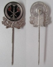 silberne Anstecknadel