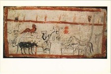 CPM Pferde trinken an der