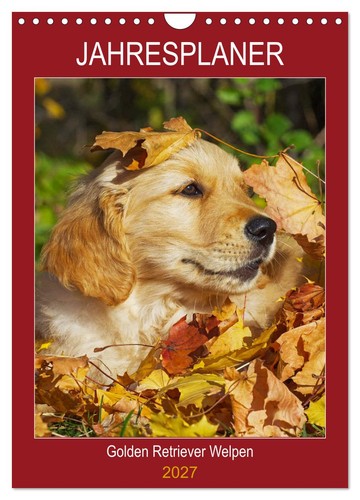 Jahresplaner golden retriever - jahresplaner,