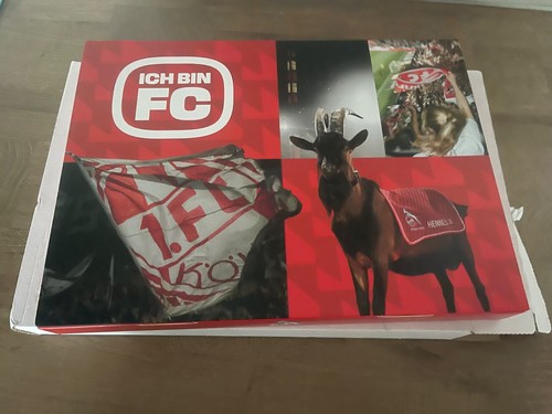 Fanschal köln ich bin - fanschal,