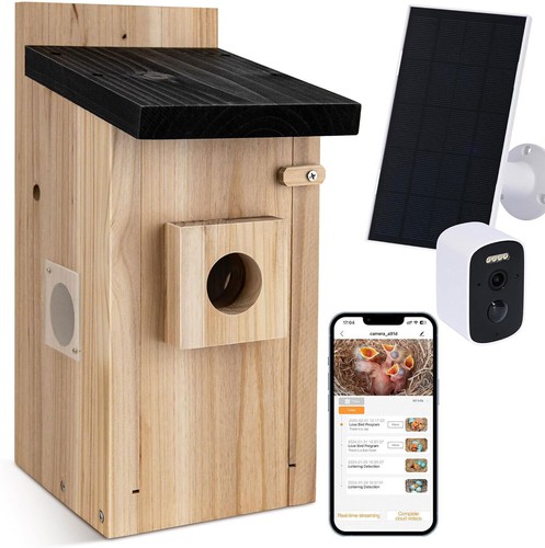 Vogelhaus mit kamera - vogelhaus,