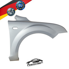 Kotflügel Ford Focus MK2 Rechts ZJNC Moondust Silber 04-08 Top Lackiert Neu