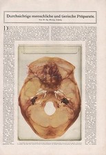 LEIPZIG, Historisches