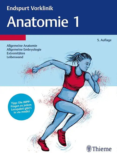 Endspurt vorklinik anatomie 1 - anatomie,