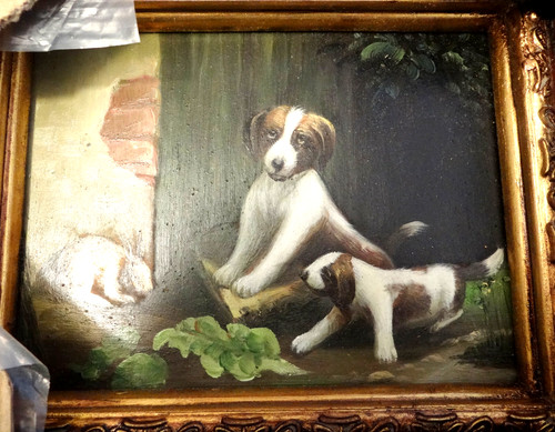 ölbild jagdhunde welpen - welpen, mit