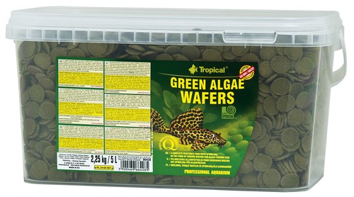 Tropical green algae wafers - algae,