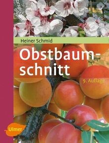 Obstbaumschnitt kernobst - obstbaumschnitt:,