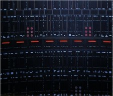 IKEA Detolf 15x15 Diorama