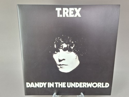 Rex dandy in the - t.,