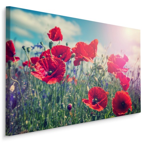 Canvas leinwand bilder - canvas,