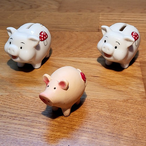 Mini schweine 2 spardosen - 3, ·