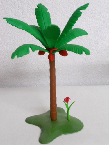 Palme kokosnusspalme kokosnuss - palme,