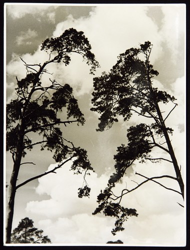 Naturfotografie erich - naturfotografie.,