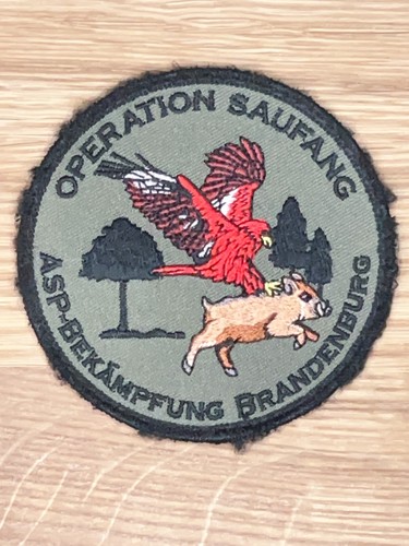 Asp bekämpfung brandenburg - asp,