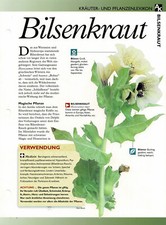Bilsenkraut /
