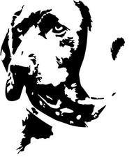 BAYERISCHER