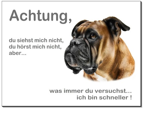 Boxer hund alu schild 15x10 - boxer-hund-alu-schild-15x10, od