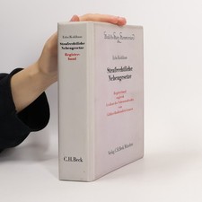 Strafrechtliche Nebengesetze 
