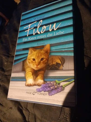 Filou ein kater rettet die - ein,