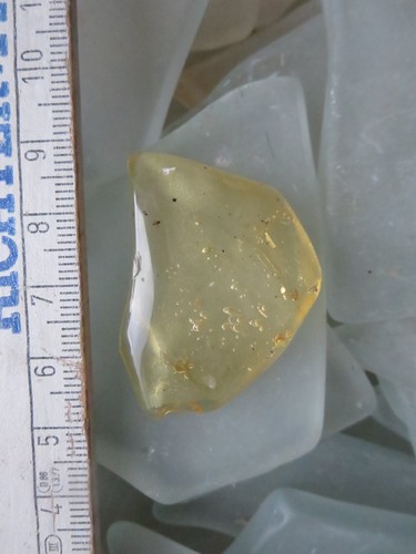 Kopal copal junger - ,