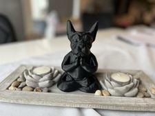 Schöne Hundefigur In Yoga