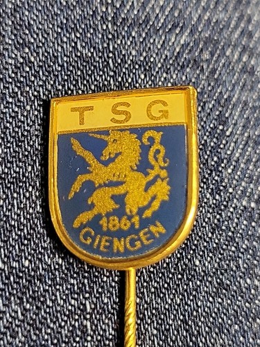 Anstecknadel fußball tsg - anstecknadel,