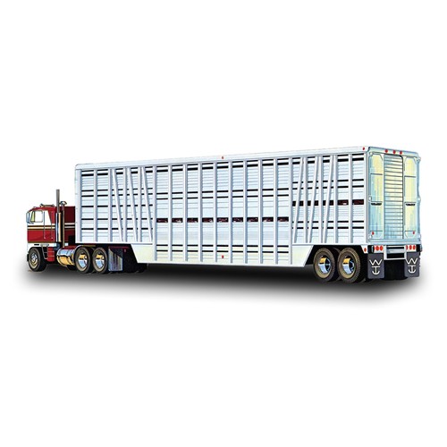 Amt wilson - 1/25,