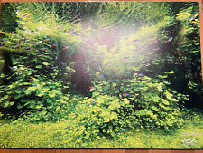 ADA Nature Aquarium Kalender Wandkalender 2022 Aqua Design Amano