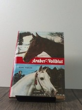 Araber-Vollblut