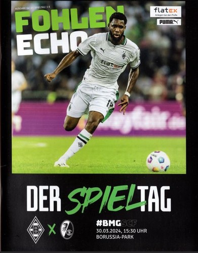 Fohlen echo borussia - fohlen, echo-borussia