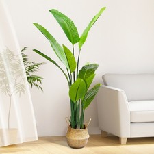 Künstlicher Ficusbaum groß