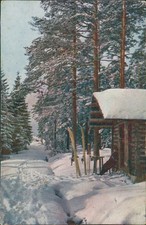 Ansichtskarte Baden-Württemberg Winterlandschaft Skier Schwarzwald Holzhütte (b1