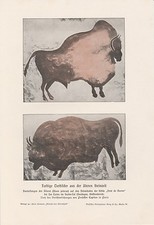 Tierbilder aus der älteren